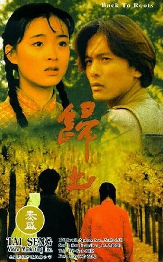 《归土》：落叶归根，一场关于记忆与身份认同的温柔追溯