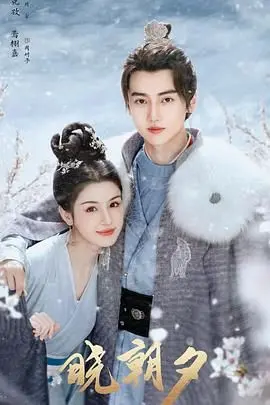 晓朝夕 海报